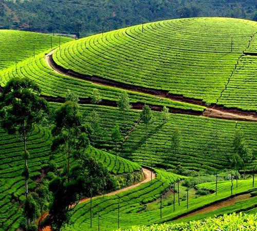 Exotic Kerala Tour