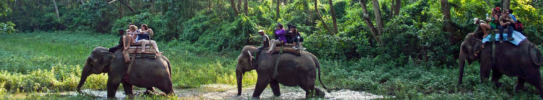Nepal Wildlife Tour