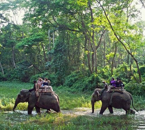 Nepal Wildlife Tour