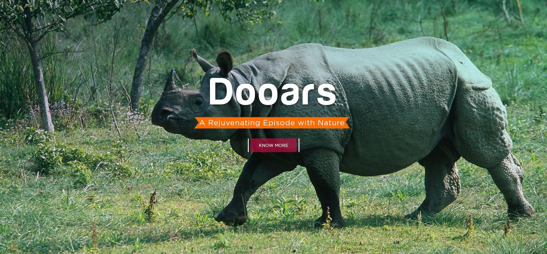 Make your Trip to Dooars, North Bengal and stay close to natures