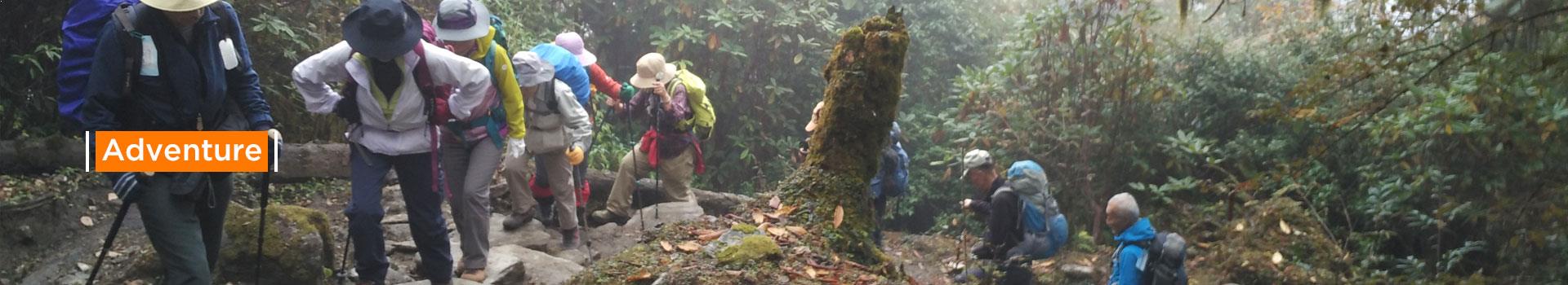 Adventures in Darjeeling