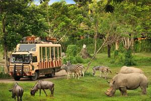 Bali Safari & Marine Park Tour - Indonesia