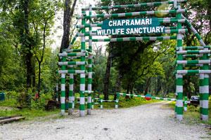 Chapramari Wildlife Sanctuary Dooars