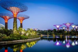 Gardens by the Bay - Place to Visit in Singapore