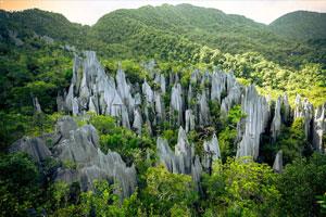 Gunung Mulu National Park Malaysia
