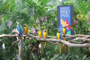 Jurong Bird Park Singapore