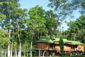 Lataguri Tour Dooars, West Bengal India