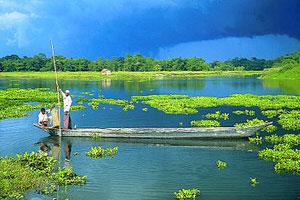 Visit Majuli Island in Assam, North East India