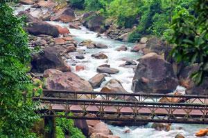 Meteli - Tourist Attraction, Dooars