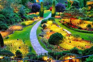 Royal Botanical Gardens, Peradeniya, Sri Lanka