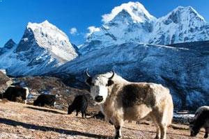 Sagarmatha National Park, North East Nepal