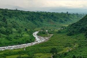 Samsing Dooars, North Bengal