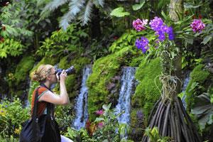 Singapore Botanic Gardens